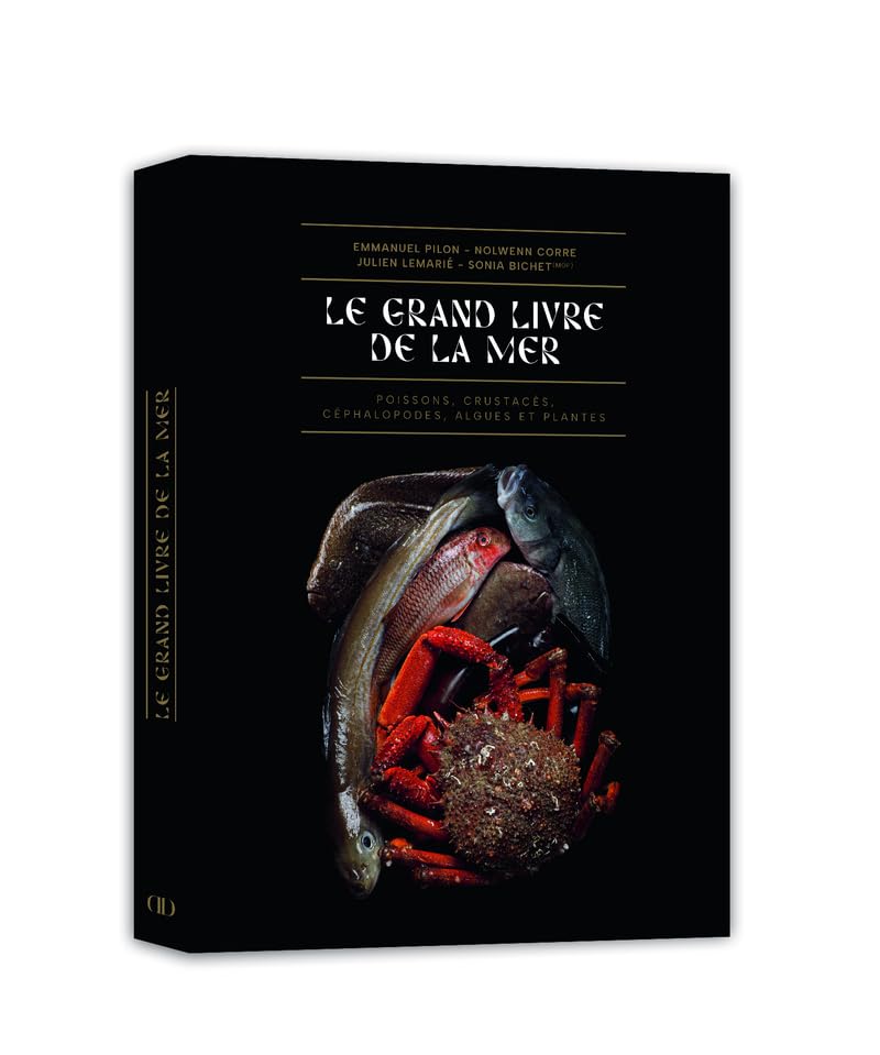 Le Grand Livre de la Mer (Sonia Bichet, Emmanuel Pilon, Nolwenn Corre, Julien Lemarié, Fanny Rivron)