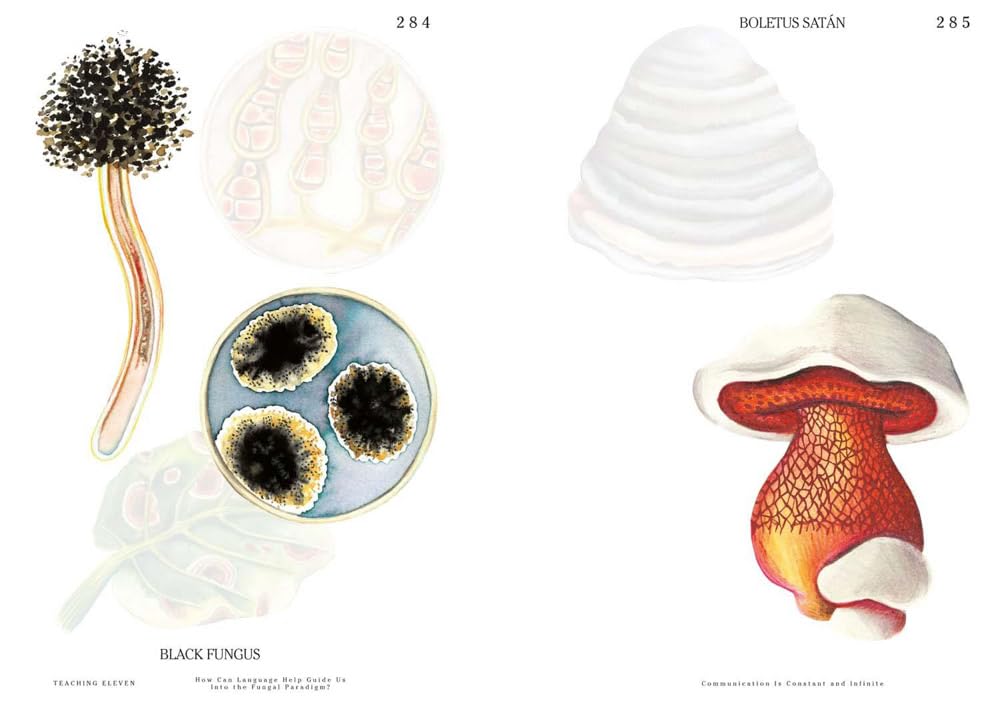 Let's Become Fungal!: Mycelium Teachings and the Arts: Based on Conversations with Indigenous Wisdom Keepers, Artists, Curators, Feminists and Mycologists (Yasmine Ostendorf-Rodríguez)