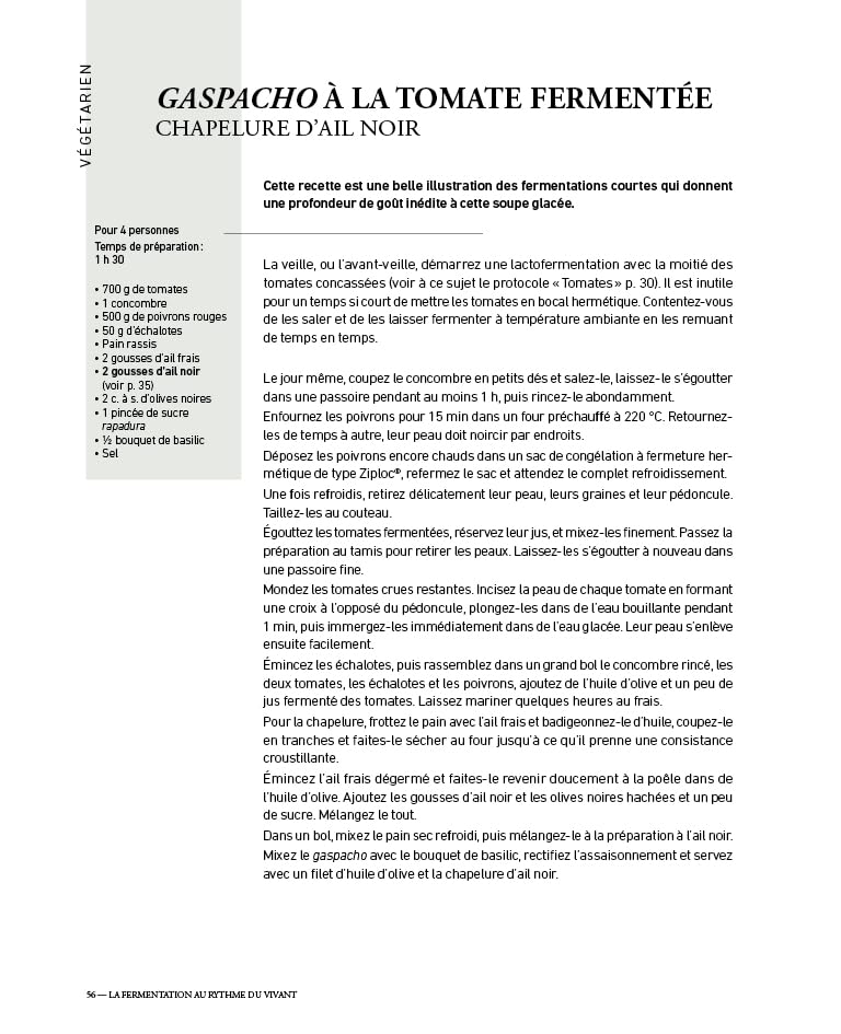 La Fermentation au Rythme du Vivant: Techniques et Recettes d'Une Cheffe Engagee (Vanessa Lepinard)