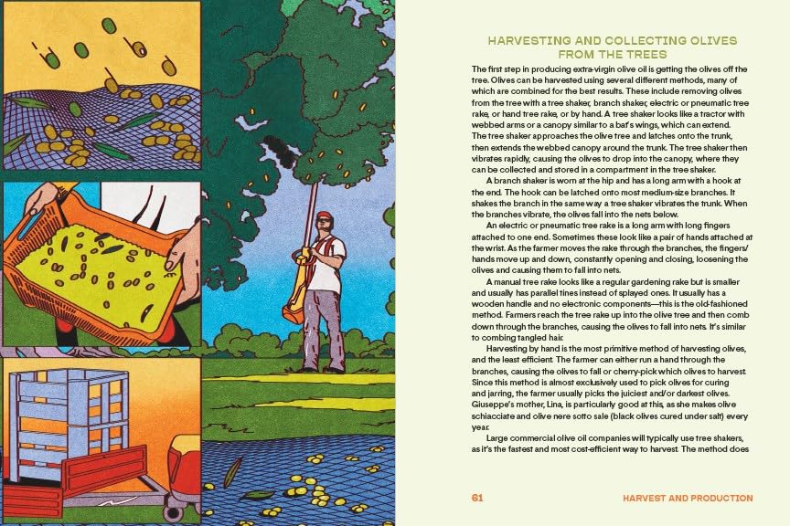 The Olive Oil Enthusiast: A Guide from Tree to Table, with Recipes (Skyler Mapes, Giuseppe Morisani)
