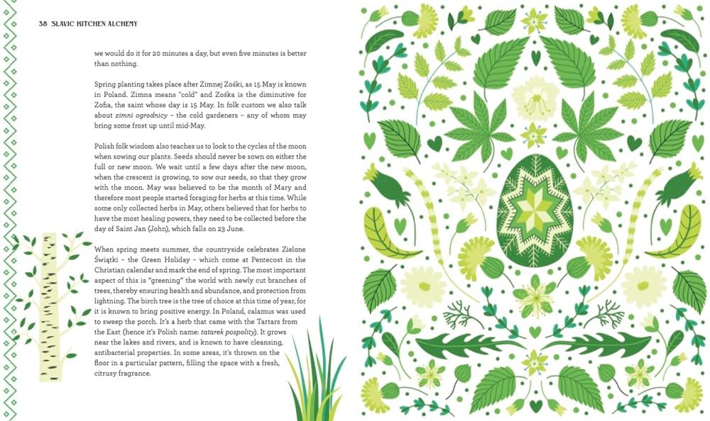 Slavic Kitchen Alchemy: Nourishing Herbal Remedies, Magical Recipes & Folk Wisdom (Zuza Zak)