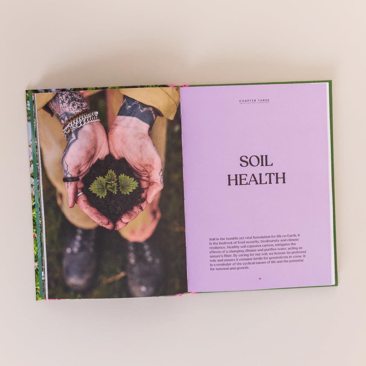 Nettles & Petals: Grow Food. Eat Weeds. Save Seeds (Jamie Walton, Samuel Binstead)