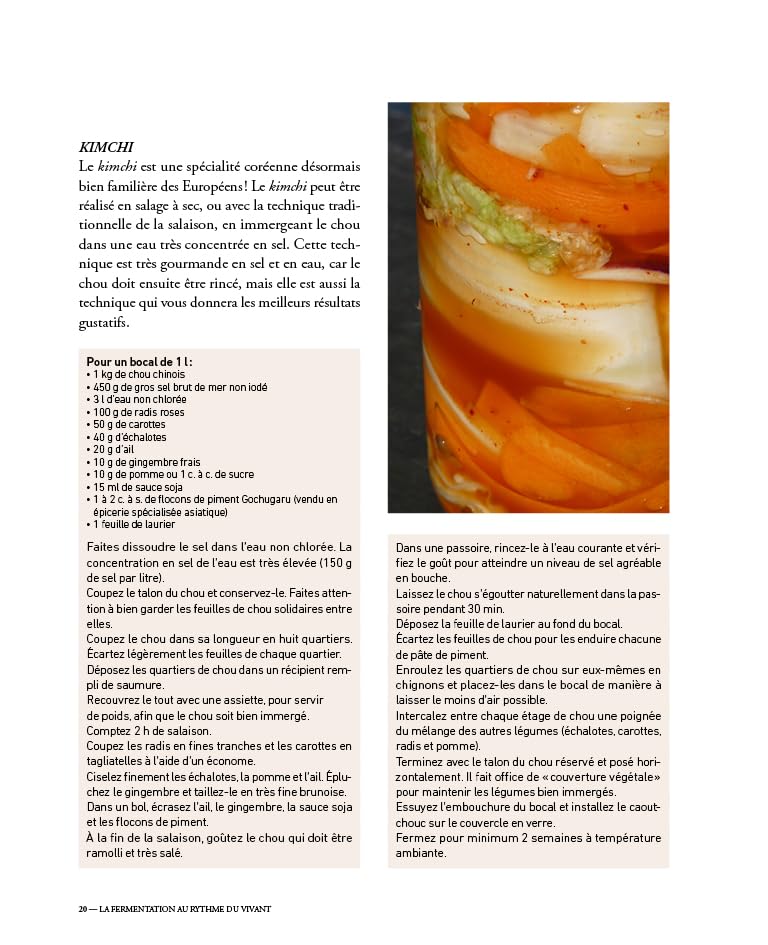 La Fermentation au Rythme du Vivant: Techniques et Recettes d'Une Cheffe Engagee (Vanessa Lepinard)