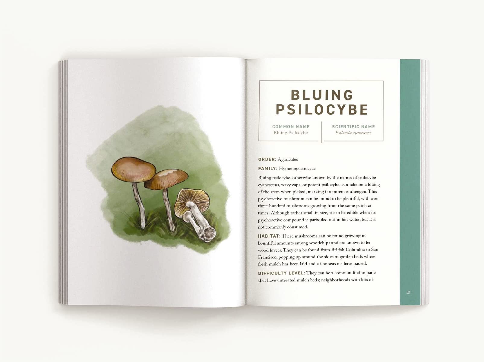 Mushrooms: An Illustrated Field (Niko Summers, June Lee)
