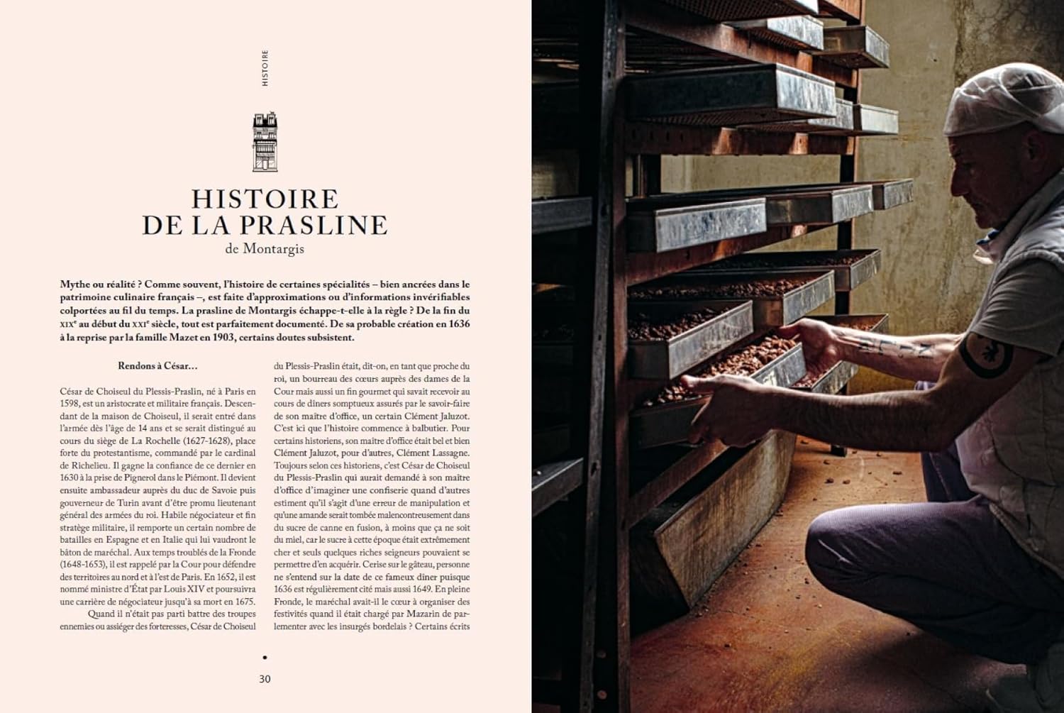 Confiserie et pâtisserie: 50 recettes au bon goût de l'enfance (Hugues Pouget, Philippe Toinard, Camille Gabarra)