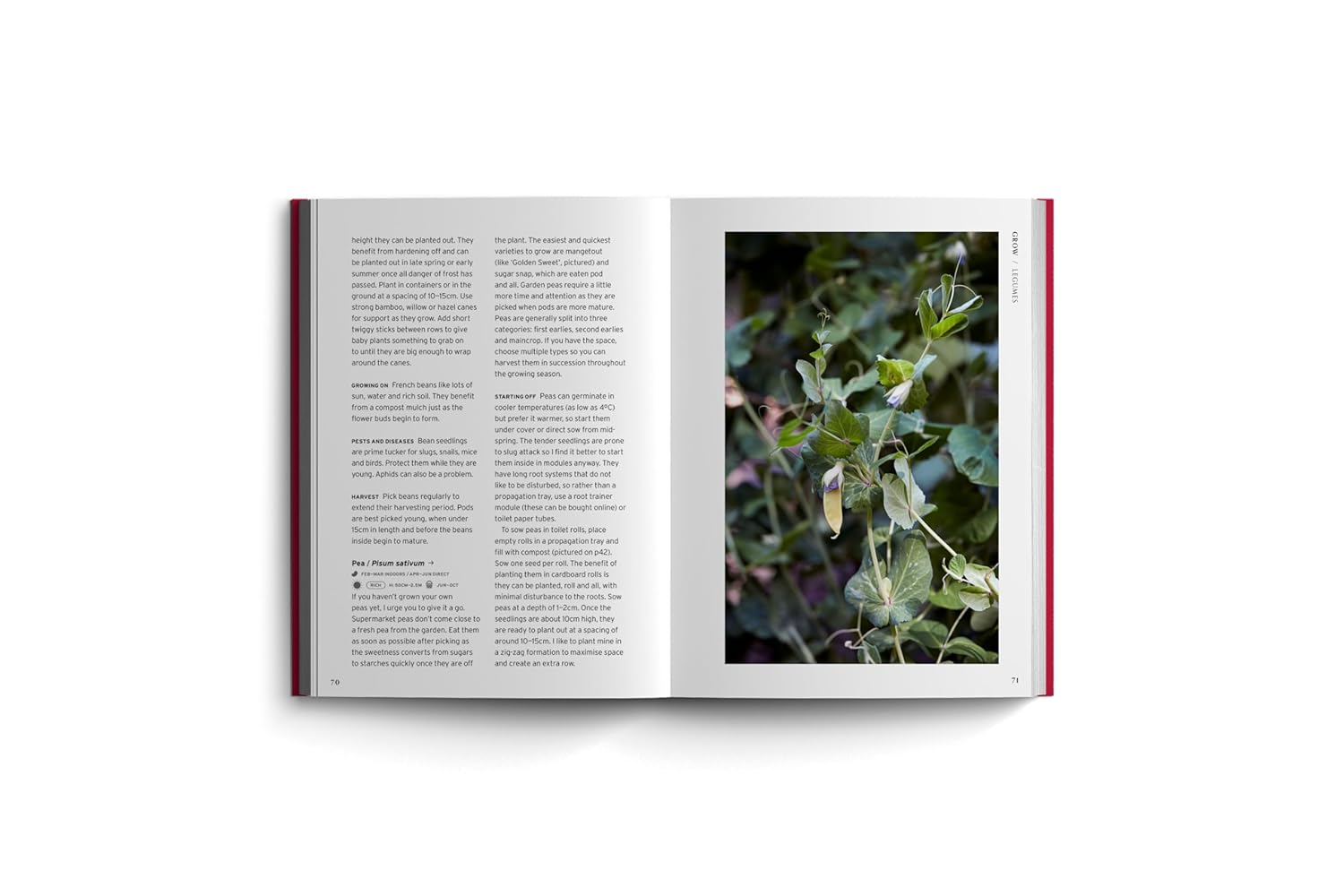 Edible Garden: Bloom Gardener's Guide: Feed the ground, sow seed, care for the crops, gather, pick and feast (Volume 7) (Vicky Chown)