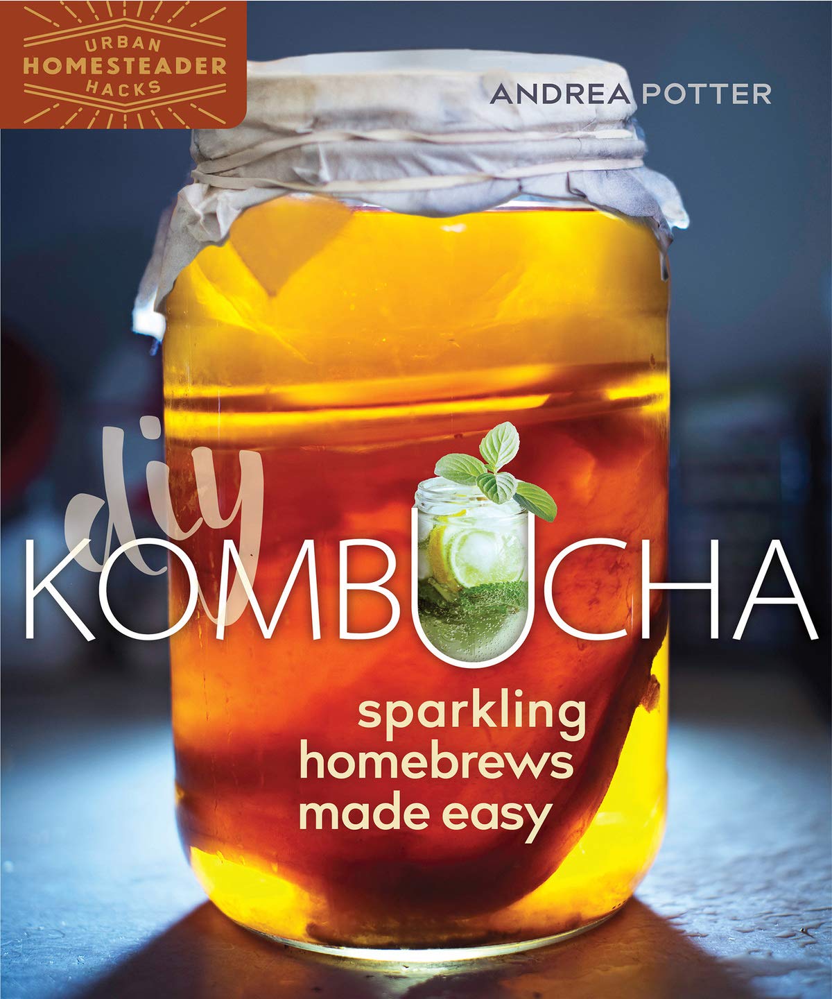 DIY Kombucha: Sparkling Homebrews Made Easy (Andrea Potter)