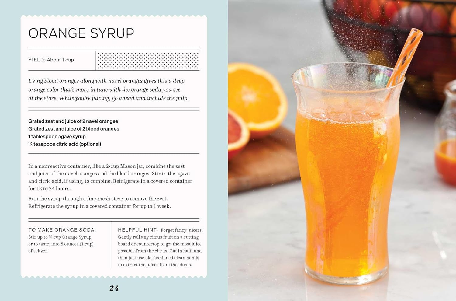 Fizz: 70+ Homemade Artisan Sodas (Andrea Lynn)
