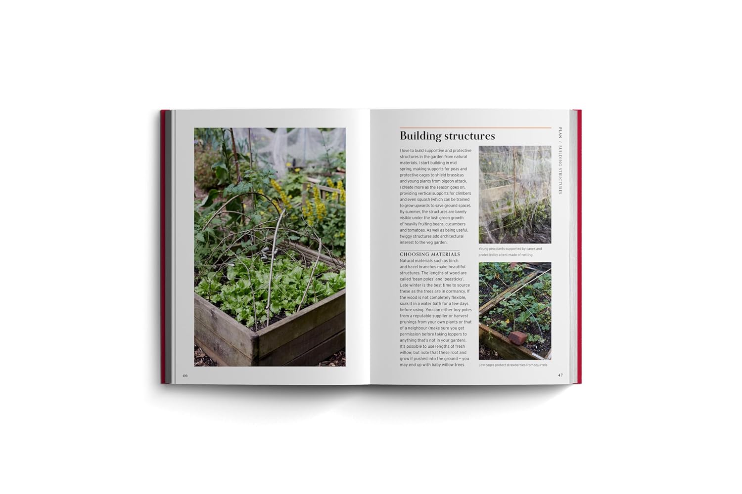 Edible Garden: Bloom Gardener's Guide: Feed the ground, sow seed, care for the crops, gather, pick and feast (Volume 7) (Vicky Chown)