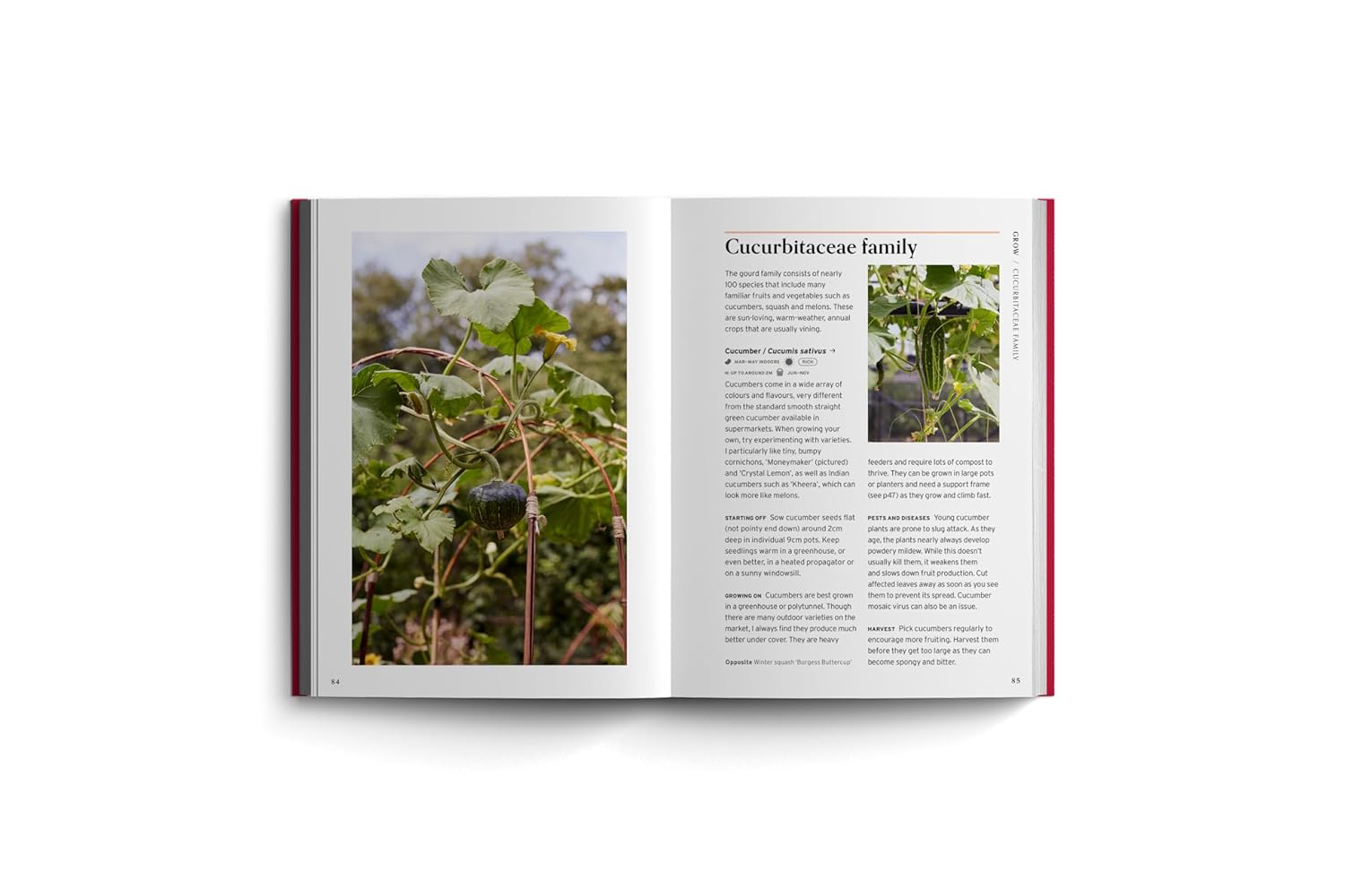 Edible Garden: Bloom Gardener's Guide: Feed the ground, sow seed, care for the crops, gather, pick and feast (Volume 7) (Vicky Chown)