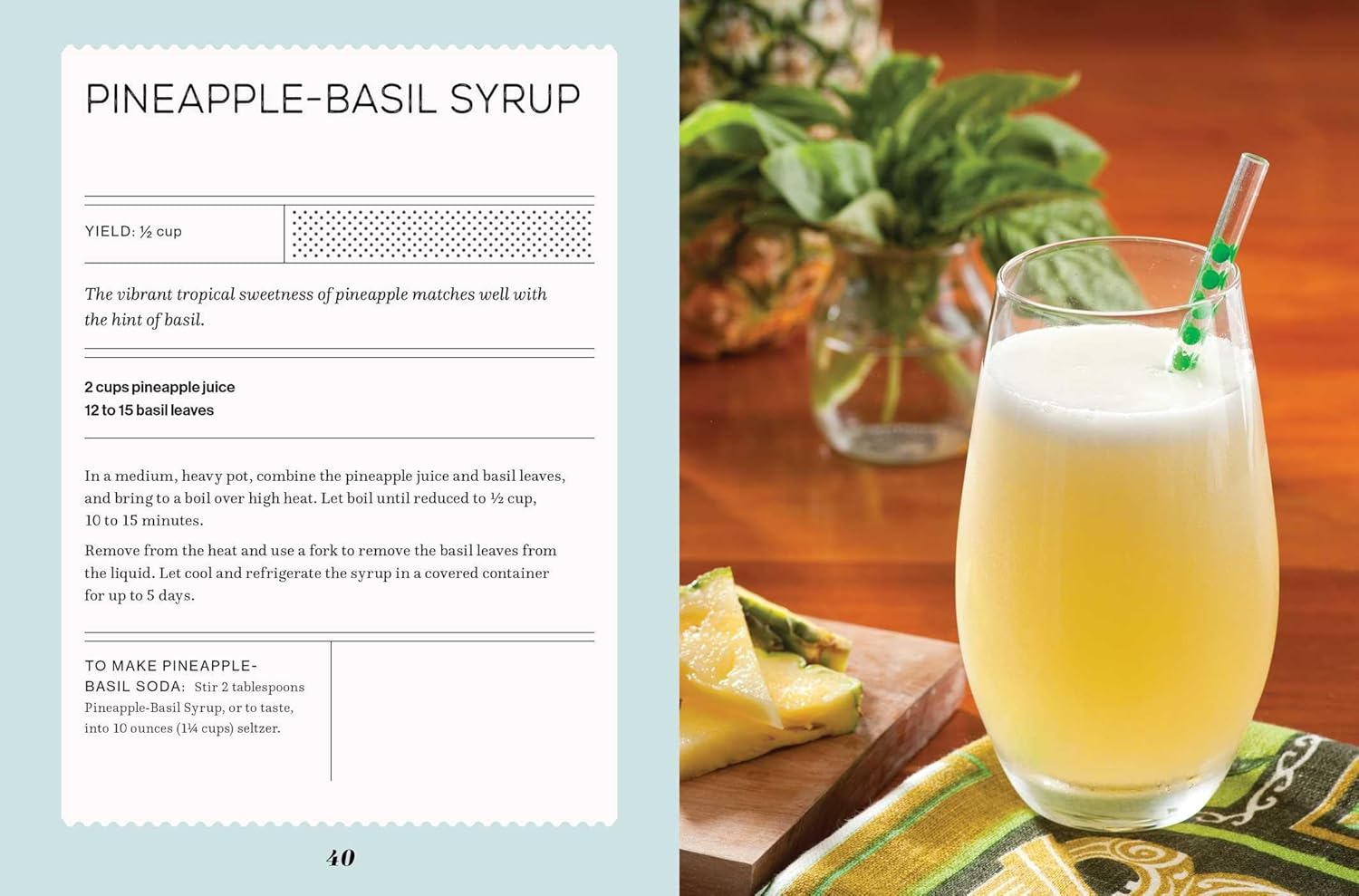 Fizz: 70+ Homemade Artisan Sodas (Andrea Lynn)