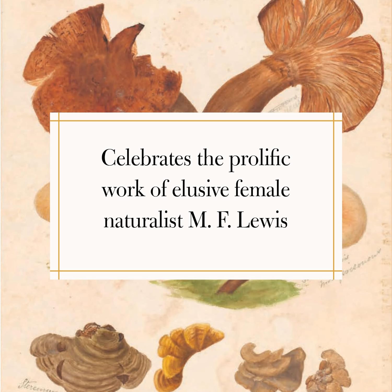 Fungi Collected in Shropshire and Other Neighbourhoods: A Victorian Woman’s Illustrated Field Notes (M. F. Lewis)