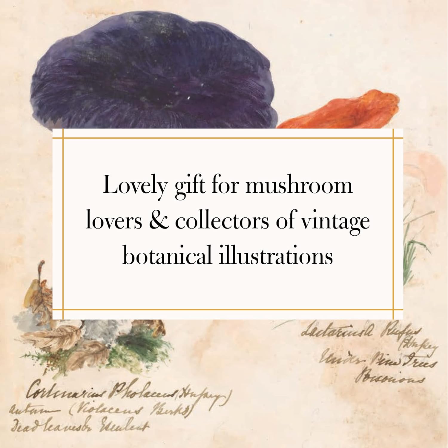 Fungi Collected in Shropshire and Other Neighbourhoods: A Victorian Woman’s Illustrated Field Notes (M. F. Lewis)