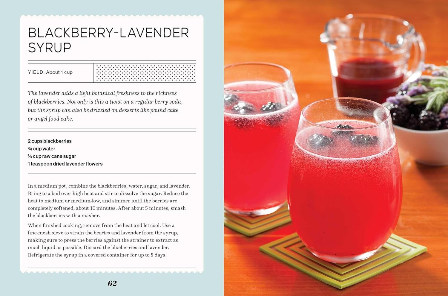 Fizz: 70+ Homemade Artisan Sodas (Andrea Lynn)