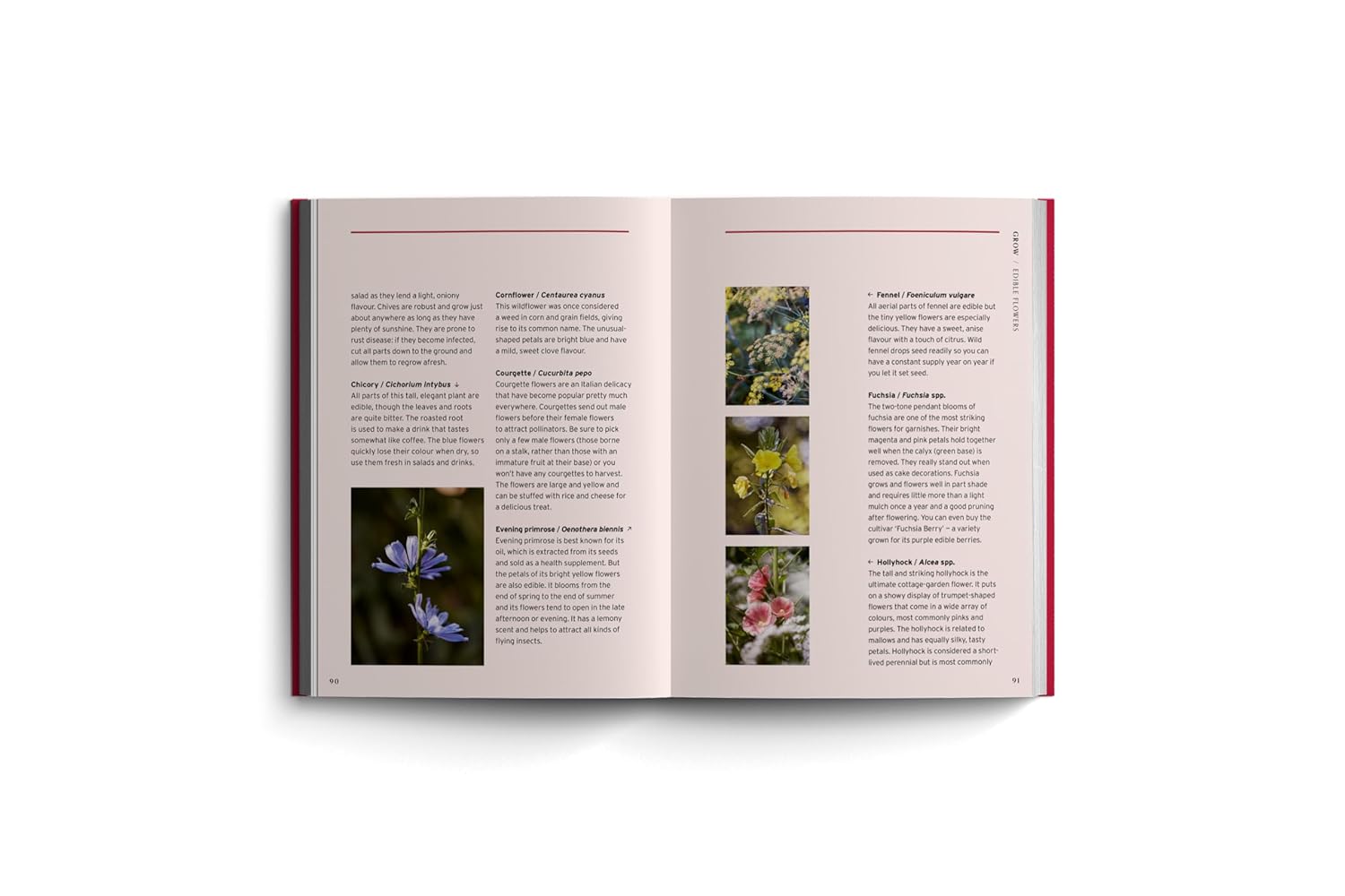 Edible Garden: Bloom Gardener's Guide: Feed the ground, sow seed, care for the crops, gather, pick and feast (Volume 7) (Vicky Chown)