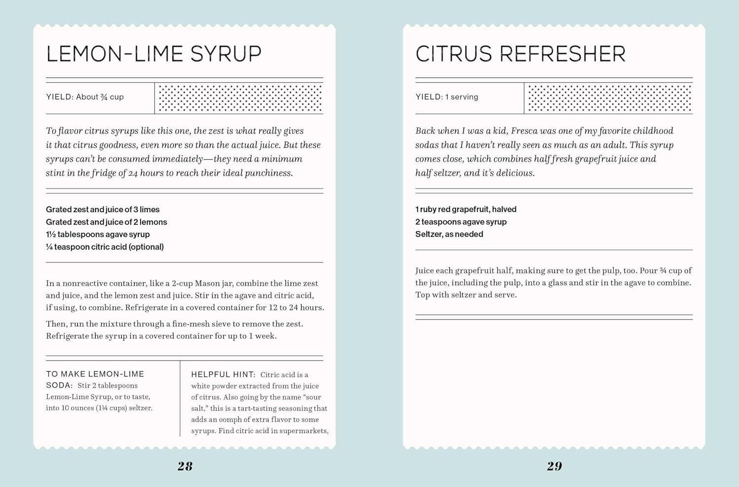 Fizz: 70+ Homemade Artisan Sodas (Andrea Lynn)