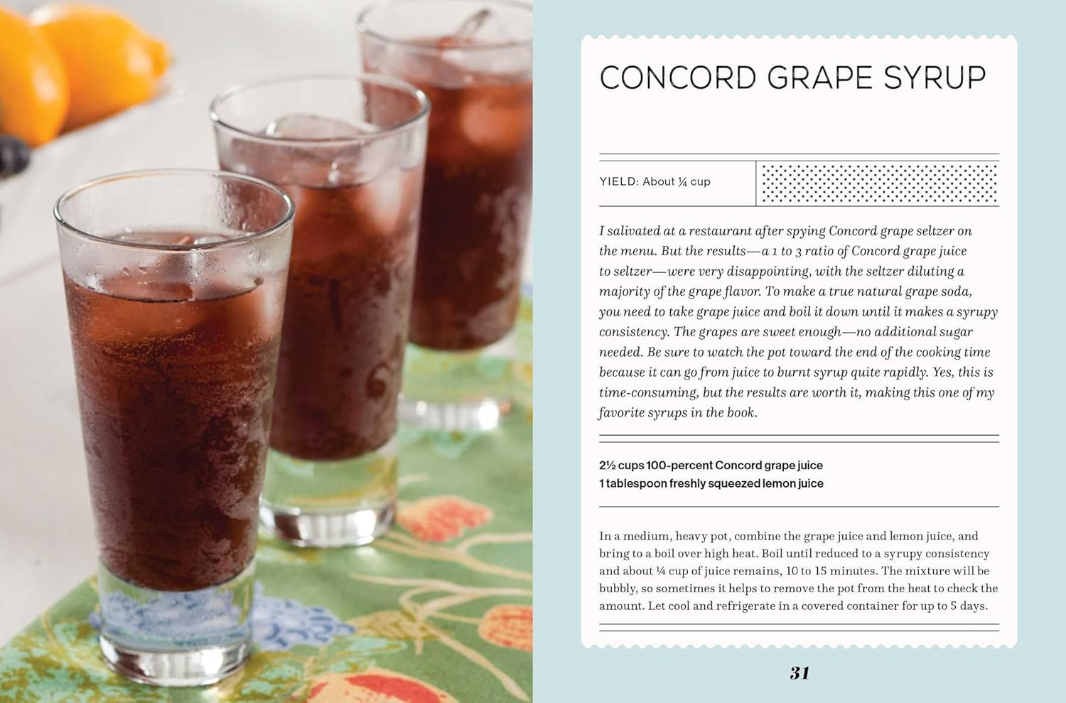 Fizz: 70+ Homemade Artisan Sodas (Andrea Lynn)