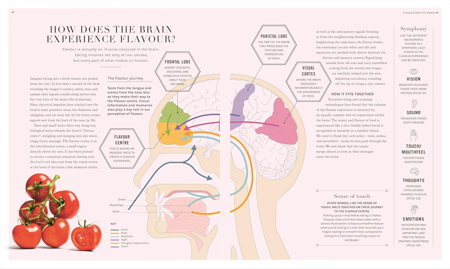The Science of Flavor: Unlock the Secrets of Flavorful Cooking (Dr. Stuart Farrimond)