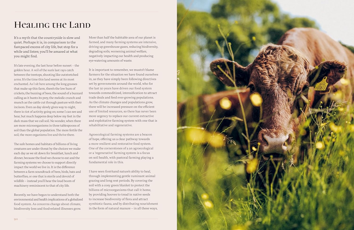 *Pre-order* The Farm Kitchen Seasonal recipes from Field, River & Hedgerow (Abby Allen)