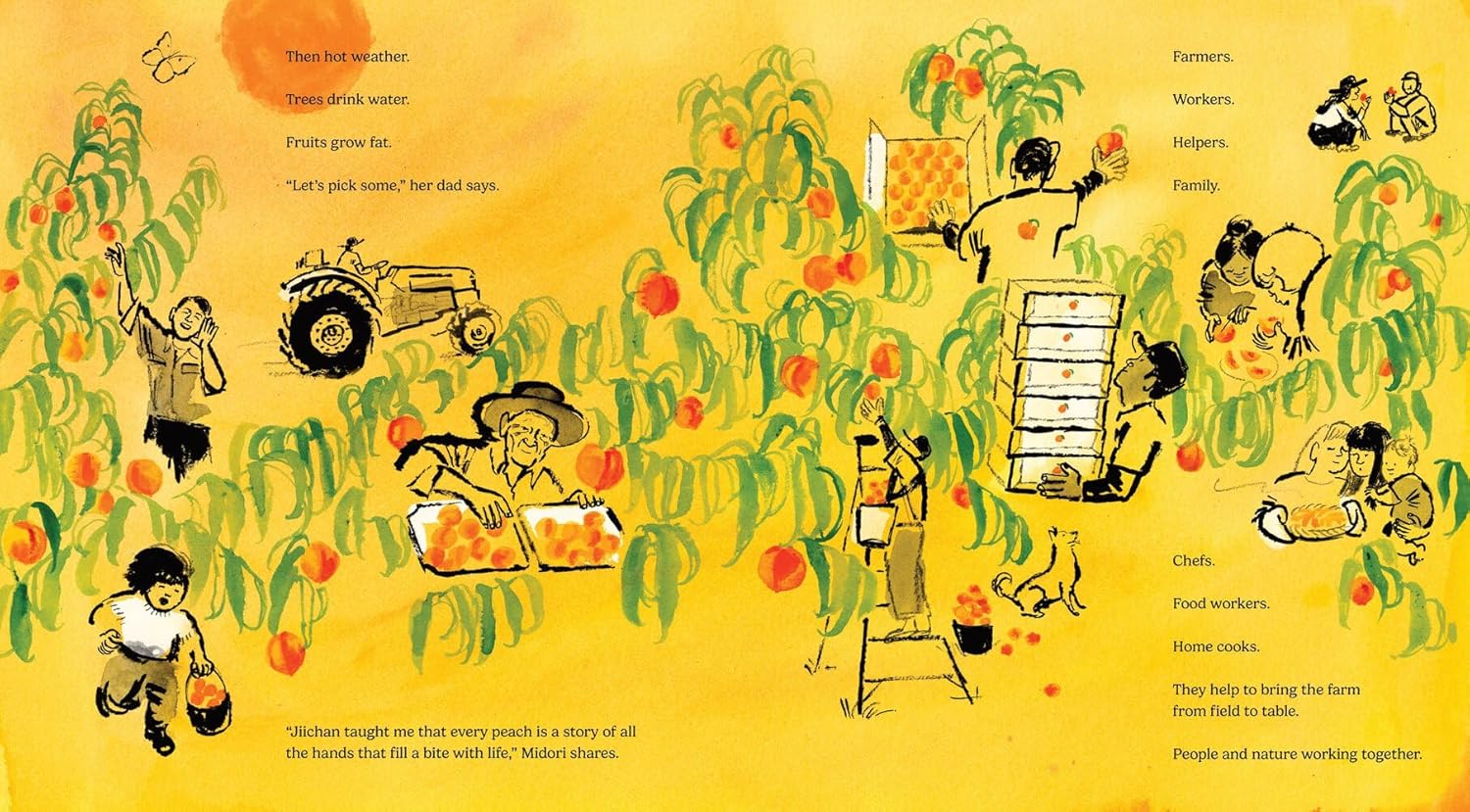 Every Peach Is a Story (David Mas Masumoto, Nikiko Masumoto, Lauren Tamaki)