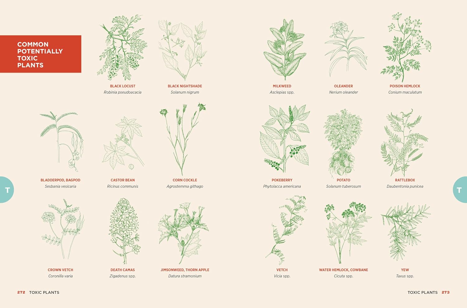 The Chicken Encyclopedia: an Illustrated Reference (Gail Damerow)