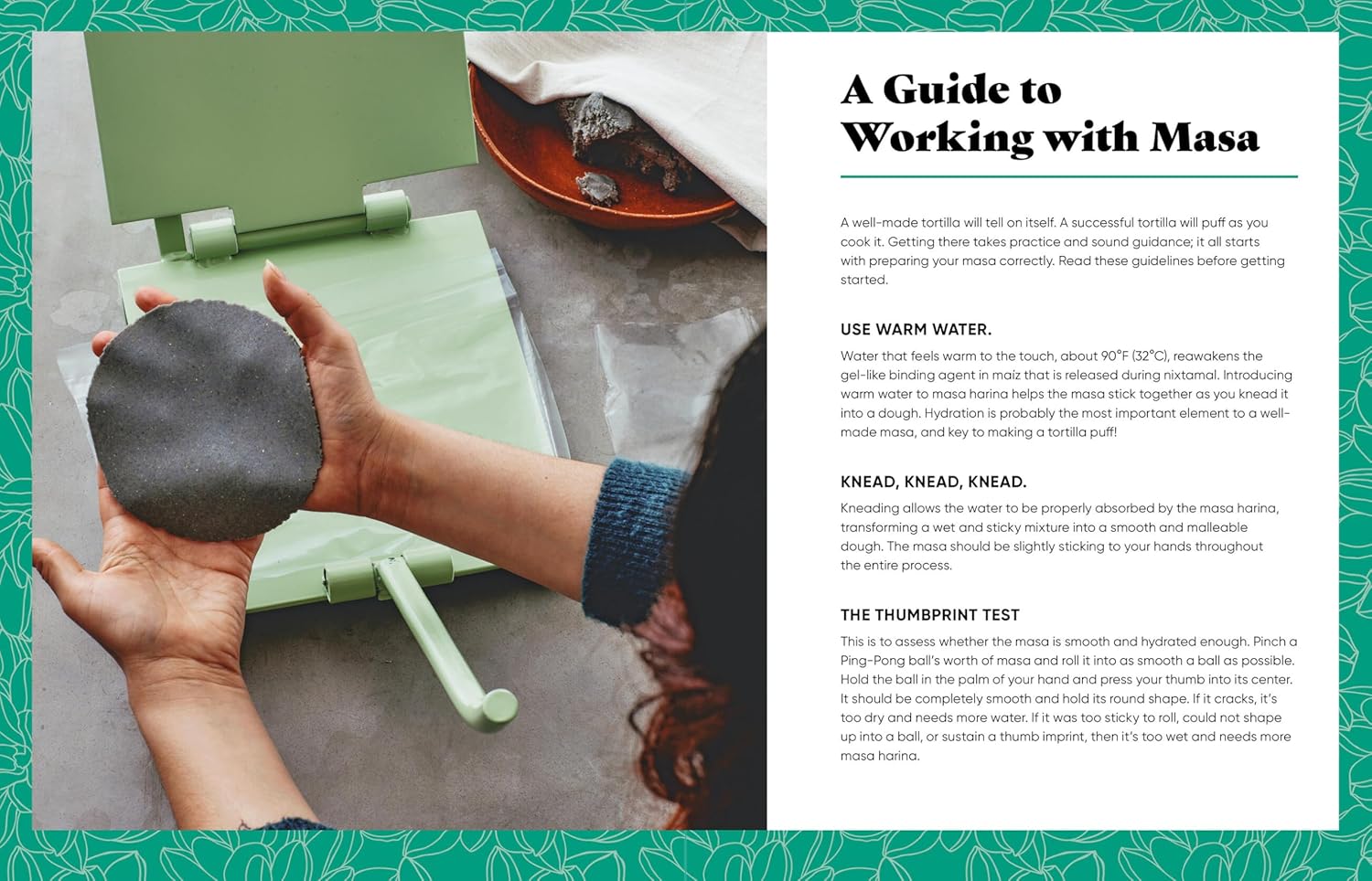 Make It Plant-Based! Mexican: 50+ Recipes for Vegan Soups, Tacos, Tortas, and Sweets (Andrea Aliseda, Mehreen Karim) *Signed*