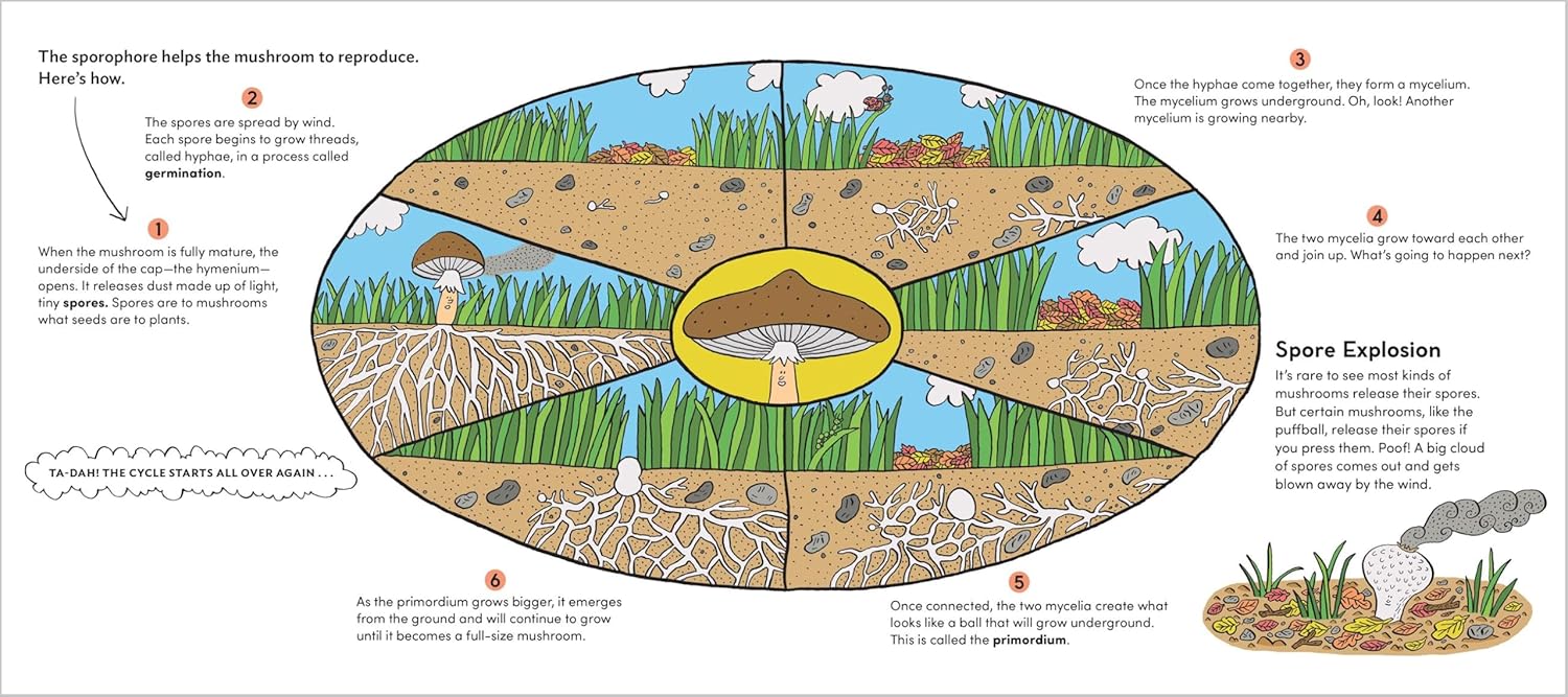 World of Mushrooms: Discover the Freaky, Fantastic Fungi That Lurk in the Woods, Pop Up in Lawns, and Sneak Around Underground (Pauline Payen, Zelda Pressigout)