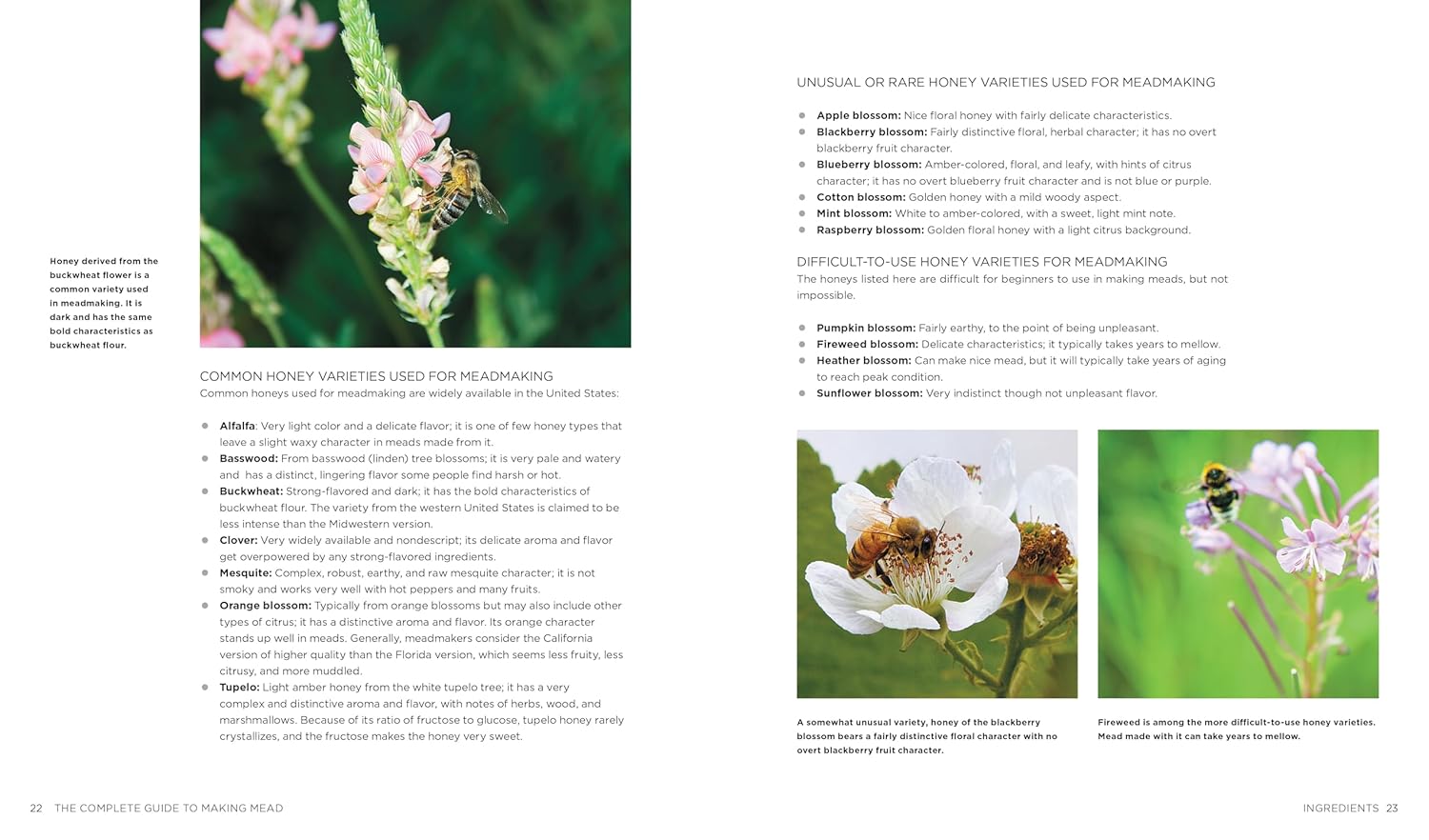 The Complete Guide to Making Mead, Updated Edition: The Ingredients, Equipment, Processes, and Recipes for Crafting Honey Wine (Steve Piatz)