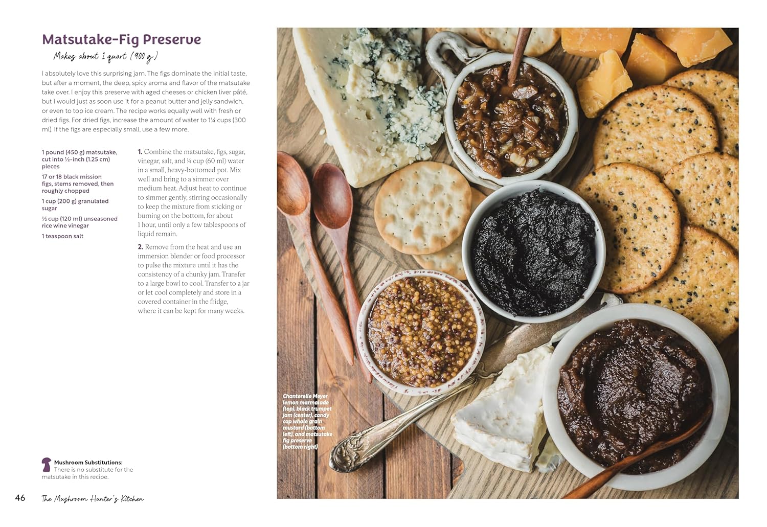 The Mushroom Hunter’s Kitchen: A Culinary Homage to Wild and Cultivated Mushrooms - with 120 Recipes (Chad Hyatt)