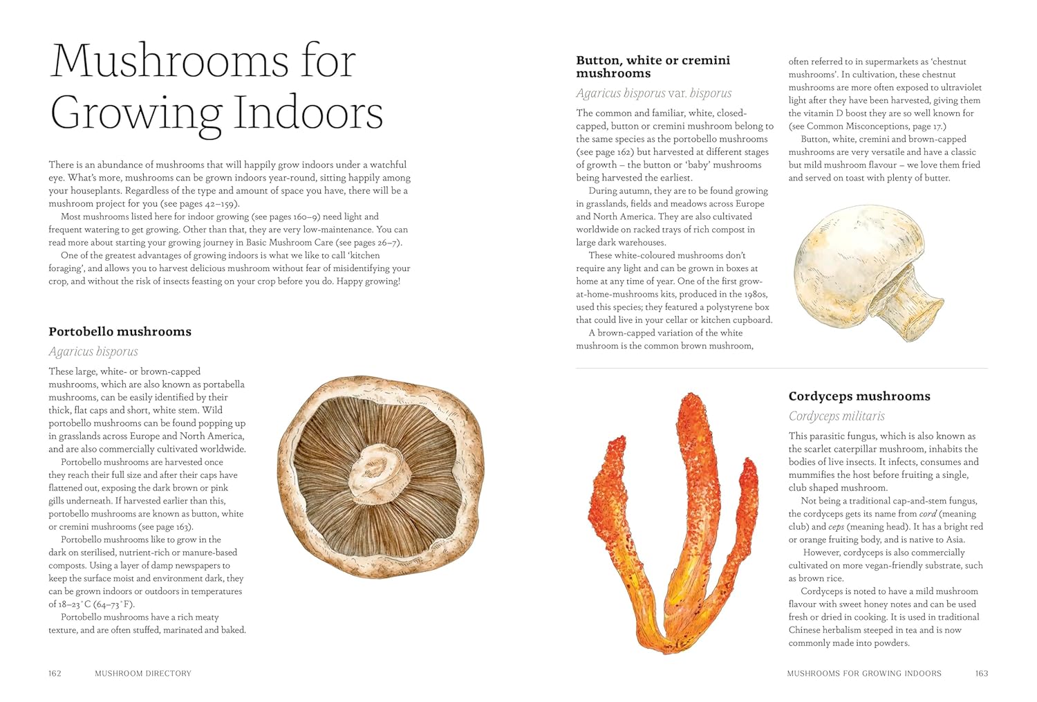 Project Mushroom: A Modern Guide to Growing Fungi (Lorraine Caley, Jodie Bryan)