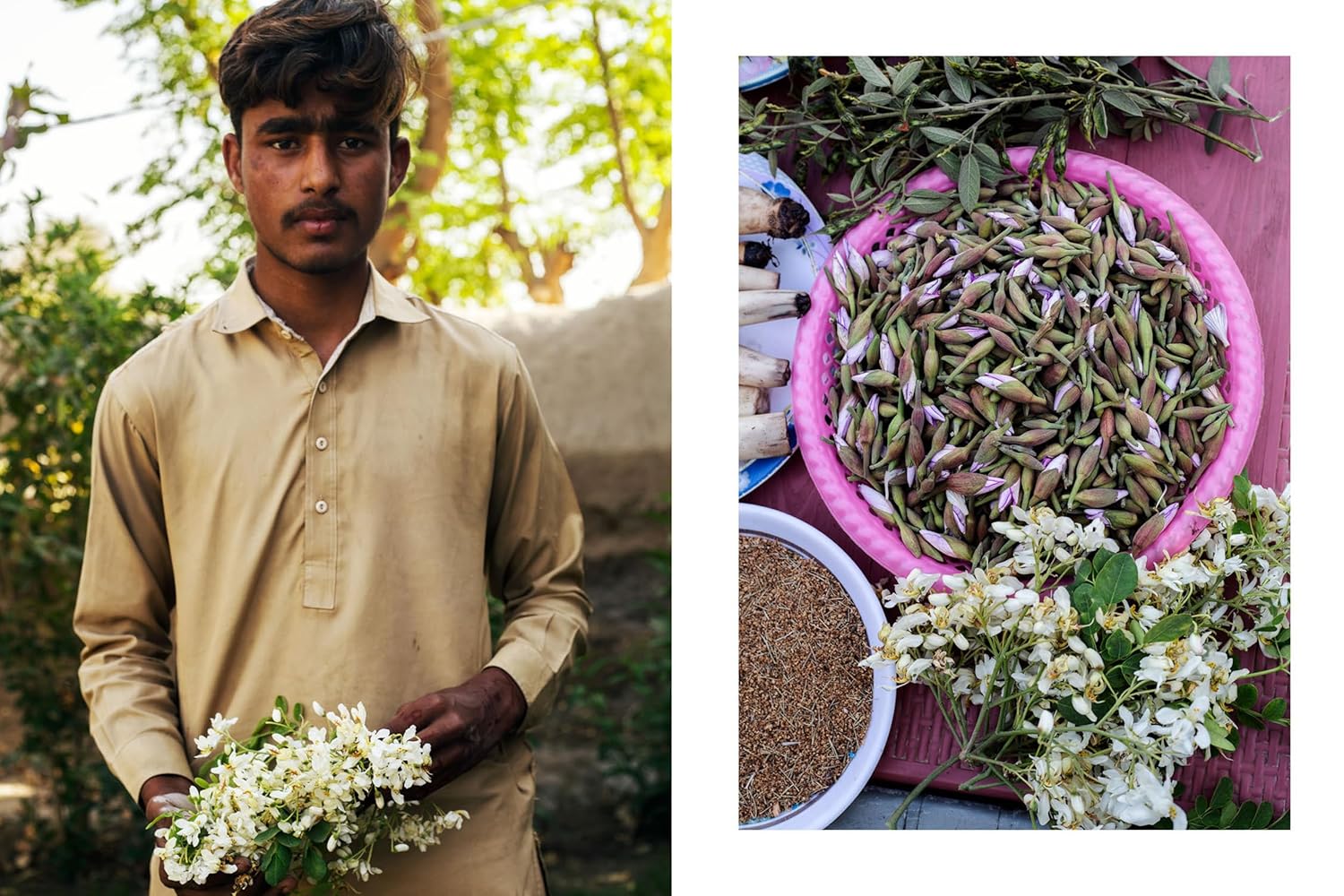 Pakistan: Recipes and Stories from Home Kitchens, Restaurants, and Roadside Stands (Maryam Jillani) *Signed*