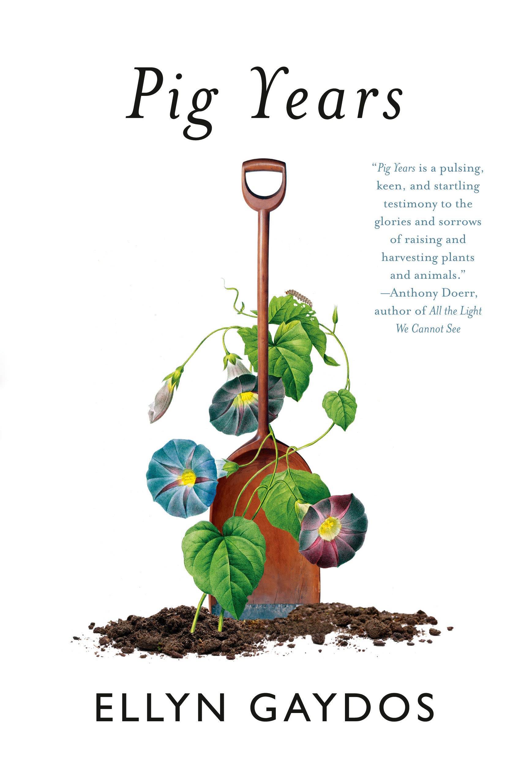 *Sale* Pig Years (Ellyn Gaydos)