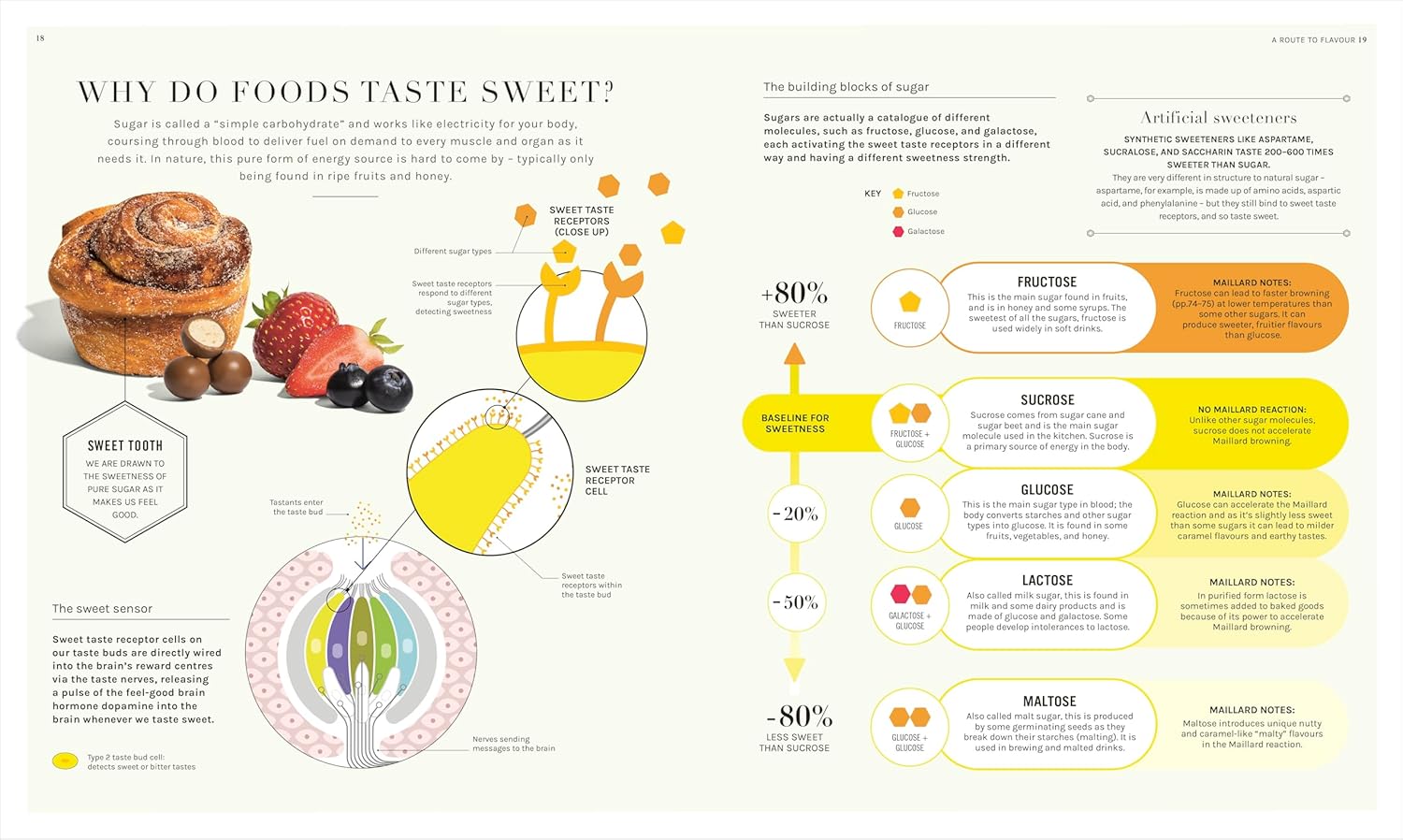 The Science of Flavor: Unlock the Secrets of Flavorful Cooking (Dr. Stuart Farrimond)