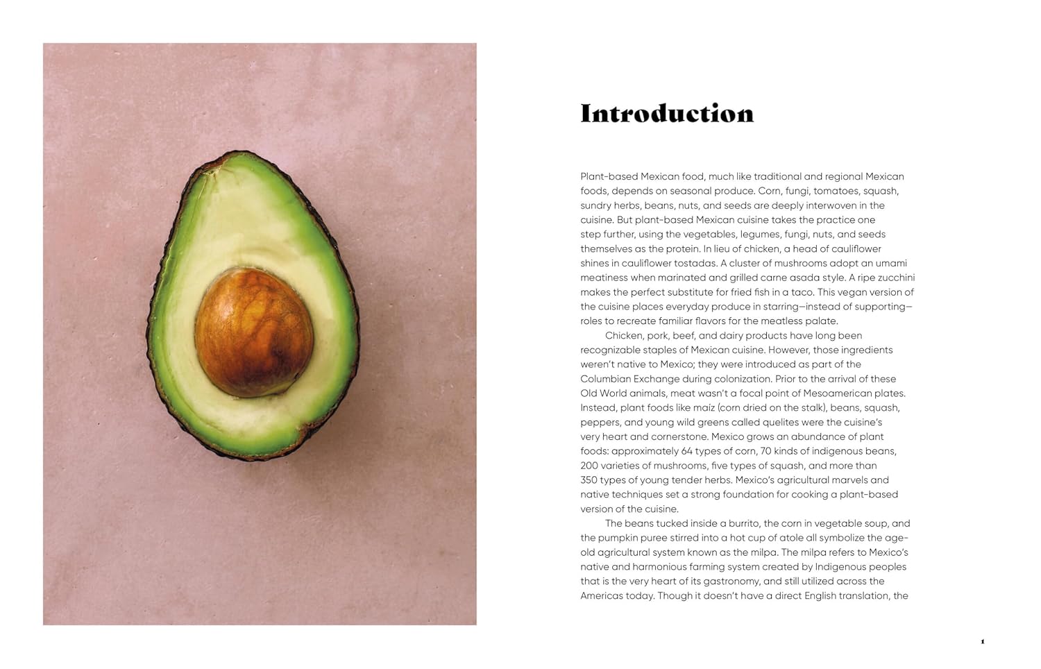 Make It Plant-Based! Mexican: 50+ Recipes for Vegan Soups, Tacos, Tortas, and Sweets (Andrea Aliseda, Mehreen Karim) *Signed*