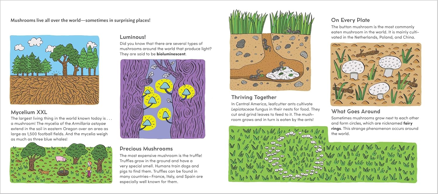 World of Mushrooms: Discover the Freaky, Fantastic Fungi That Lurk in the Woods, Pop Up in Lawns, and Sneak Around Underground (Pauline Payen, Zelda Pressigout)