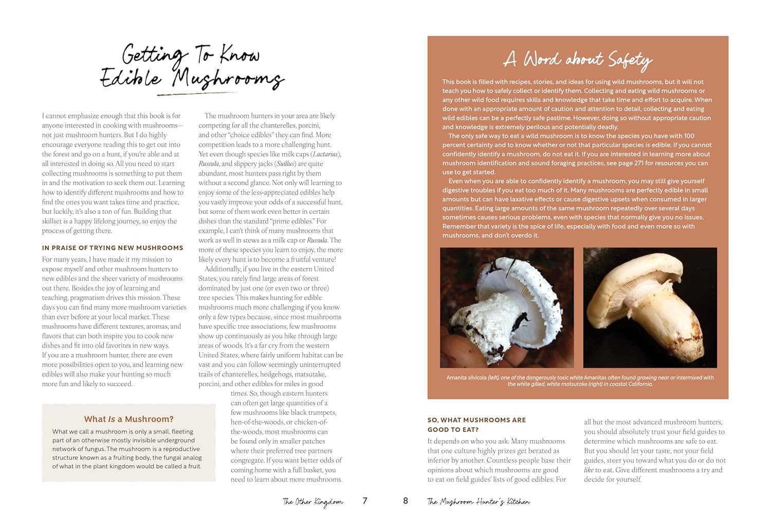 The Mushroom Hunter’s Kitchen: A Culinary Homage to Wild and Cultivated Mushrooms - with 120 Recipes (Chad Hyatt)