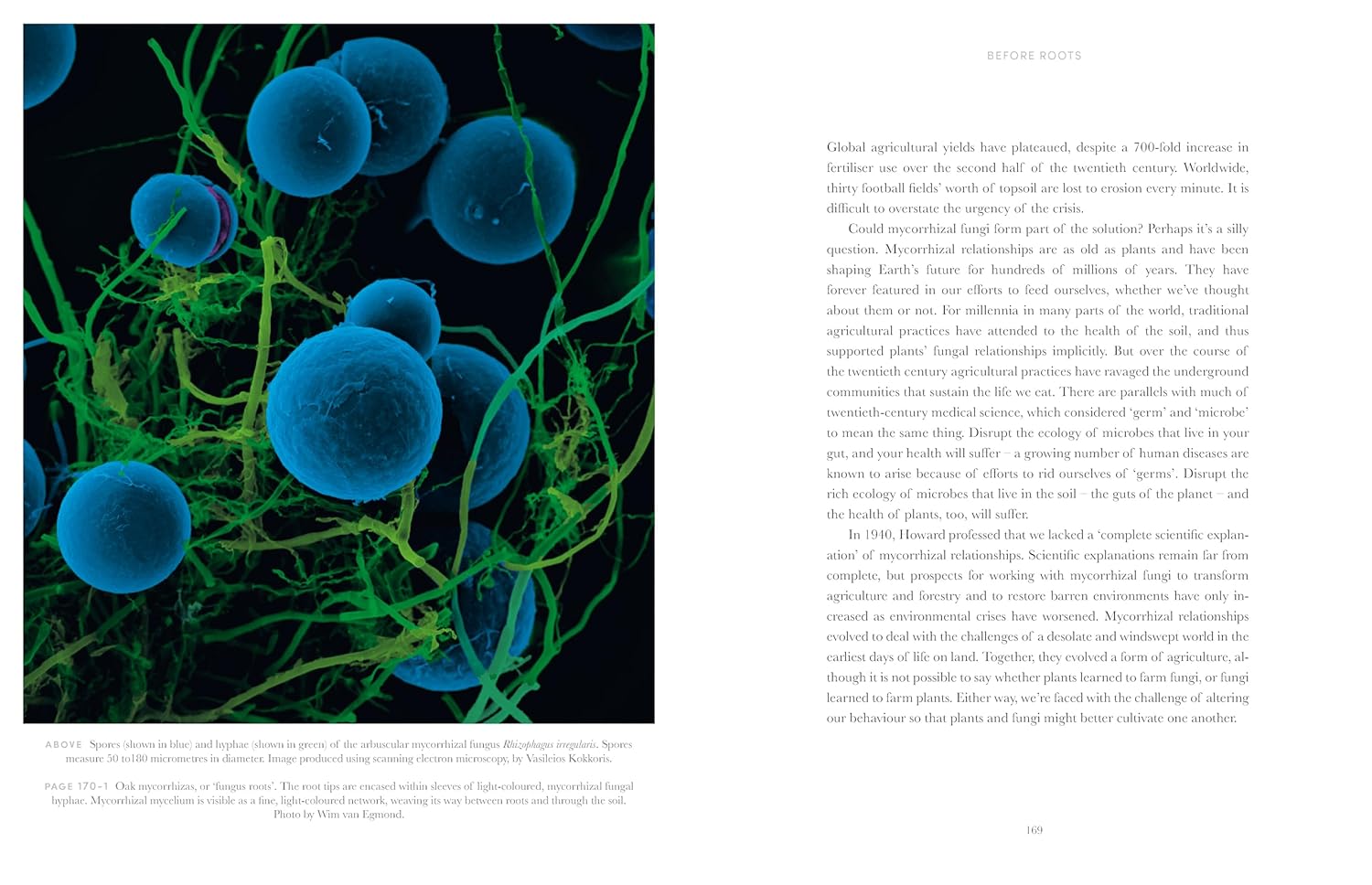 Entangled Life: The Illustrated Edition: How Fungi Make Our Worlds (Merlin Sheldrake)