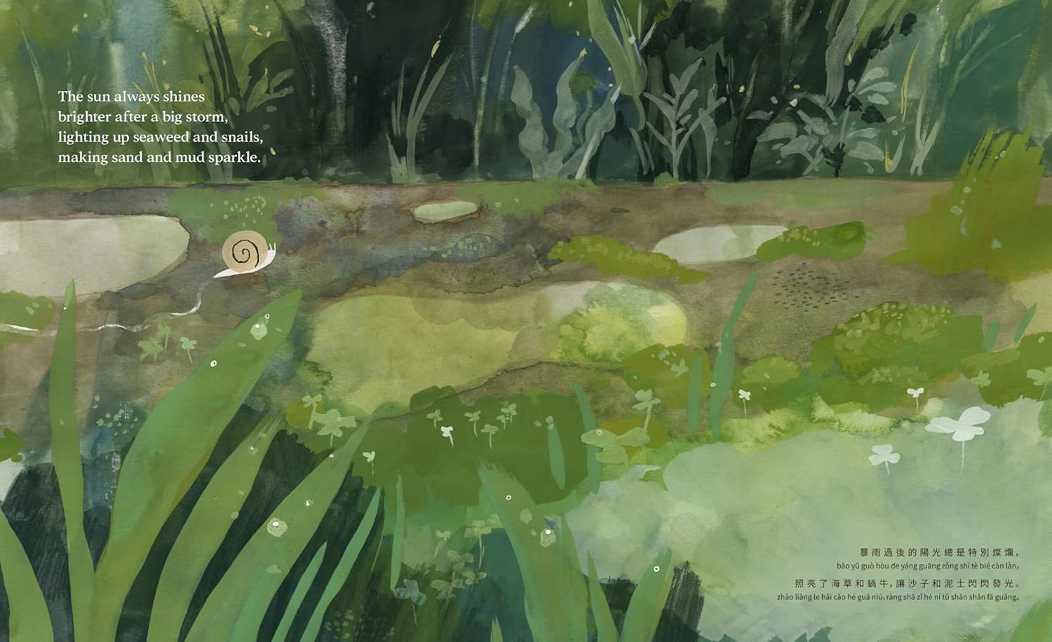 Wild Greens, Beautiful Girl (Erica Lee Schlaikjer, Author, &i Cinyee Chiu, Illustrator)