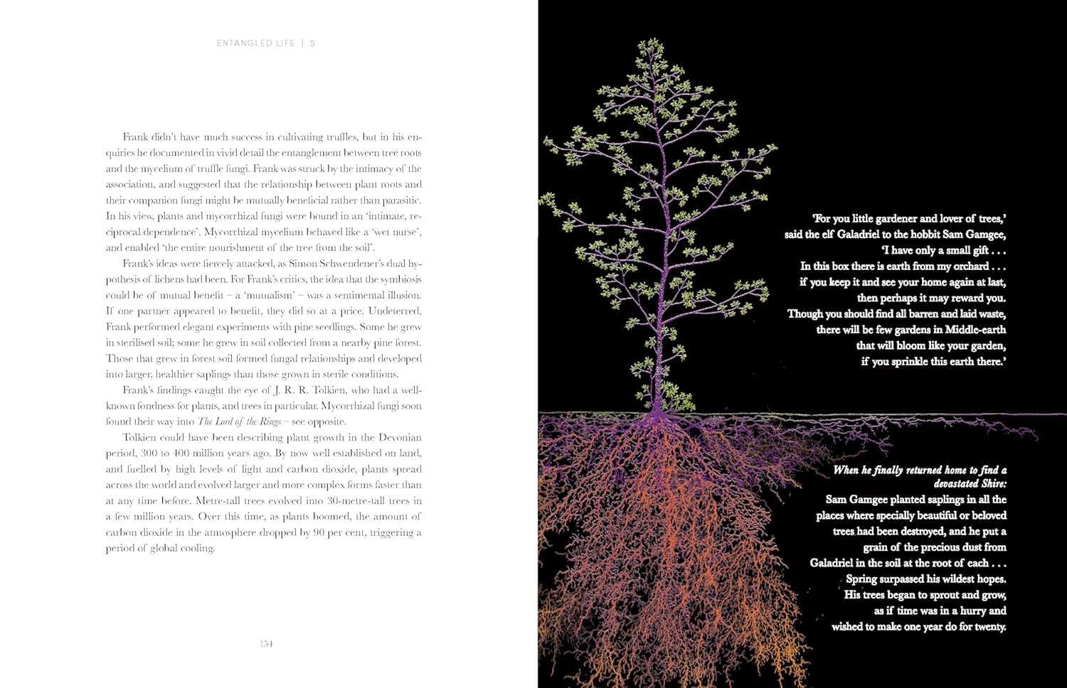 Entangled Life: The Illustrated Edition: How Fungi Make Our Worlds (Merlin Sheldrake)