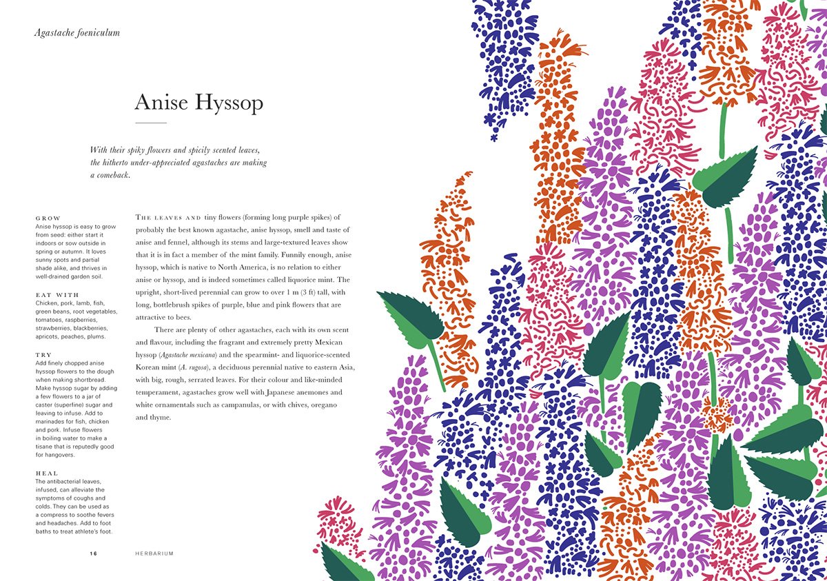 Herbarium: One Hundred Herbs · Grow · Cook · Heal (Caz Hildebrand)