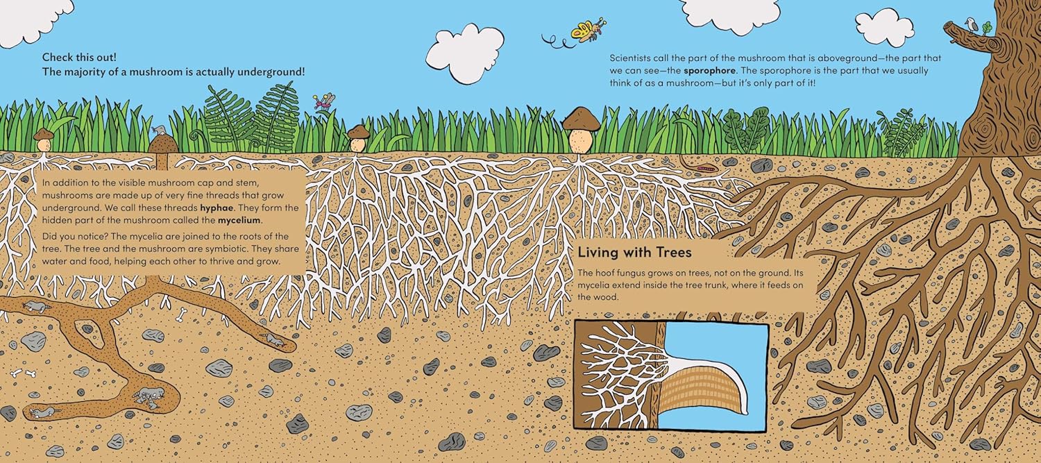 World of Mushrooms: Discover the Freaky, Fantastic Fungi That Lurk in the Woods, Pop Up in Lawns, and Sneak Around Underground (Pauline Payen, Zelda Pressigout)