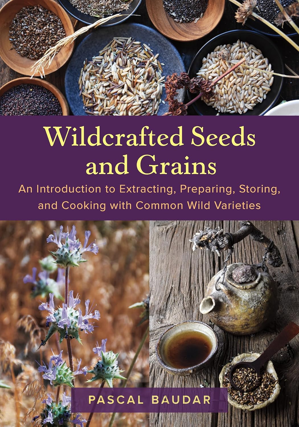 *Pre-order* Wildcrafted Seeds and Grains: An Introduction to Extracting, Preparing, Storing, and Cooking with Common Wild Varieties (Pascal Baudar)