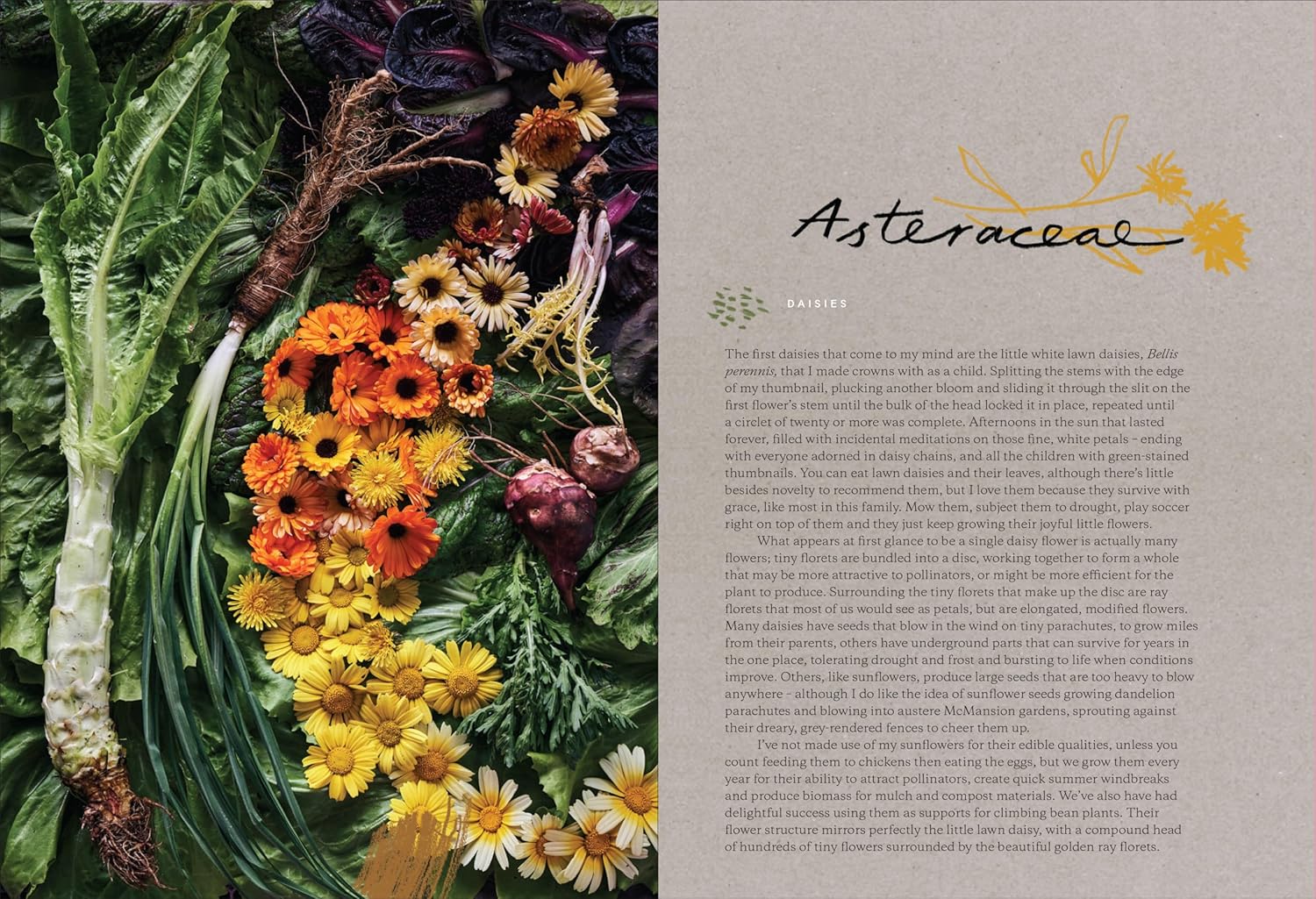 Broccoli and Other Love Stories: Notes and recipes from an always curious, often hungry kitchen gardener (Paulette Whitney)