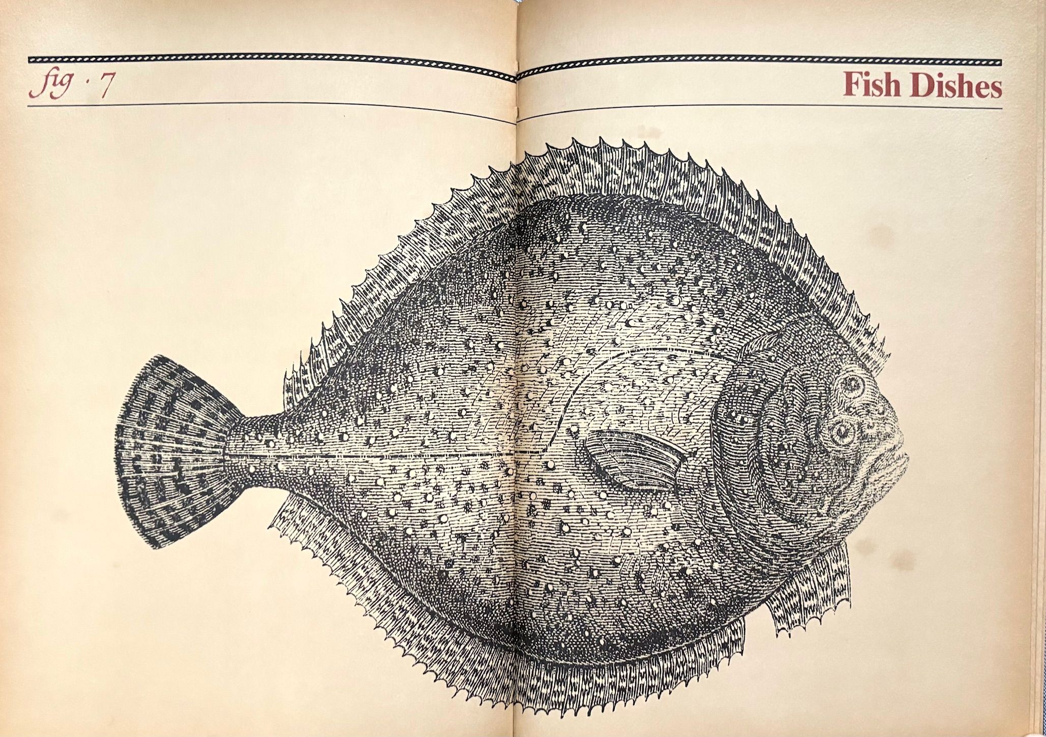 (German) Fritz Becker. Cookbook from Berlin