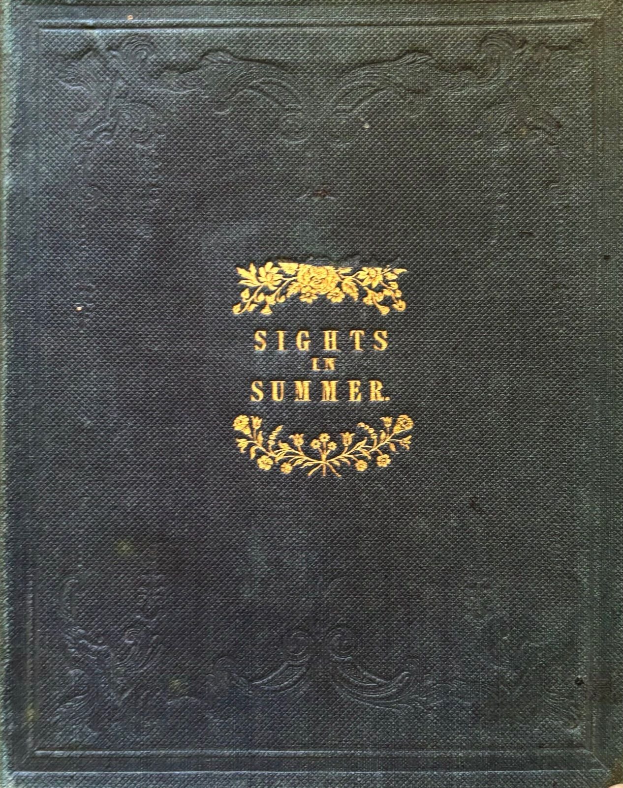 (Seasonal) Sights in Summer