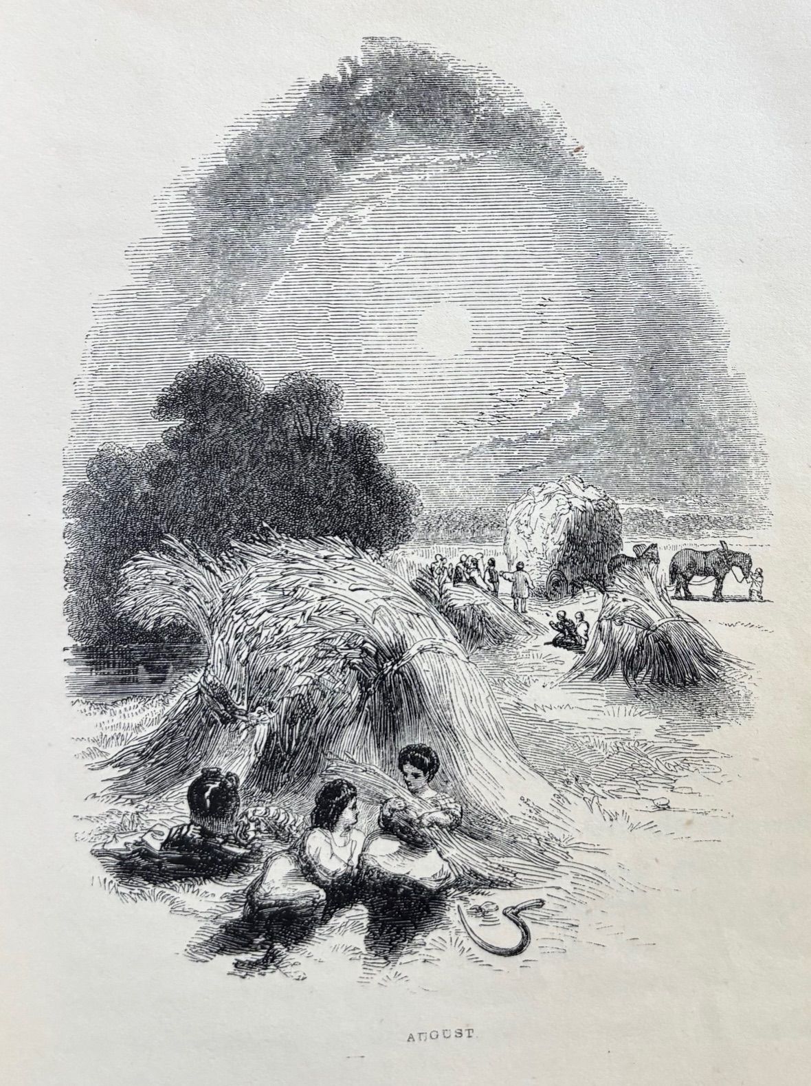 (Seasonal) Sights in Summer