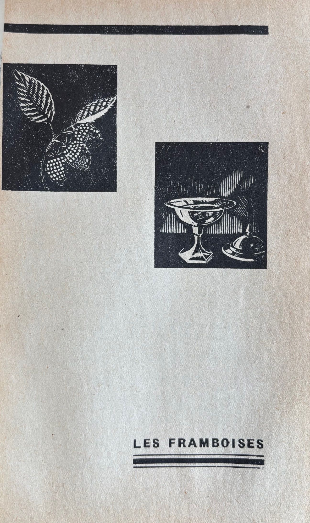 (*NEW ARRIVAL*) (Fruit) Gaston Clement. 300 Recettes pour accommoder les Fruits