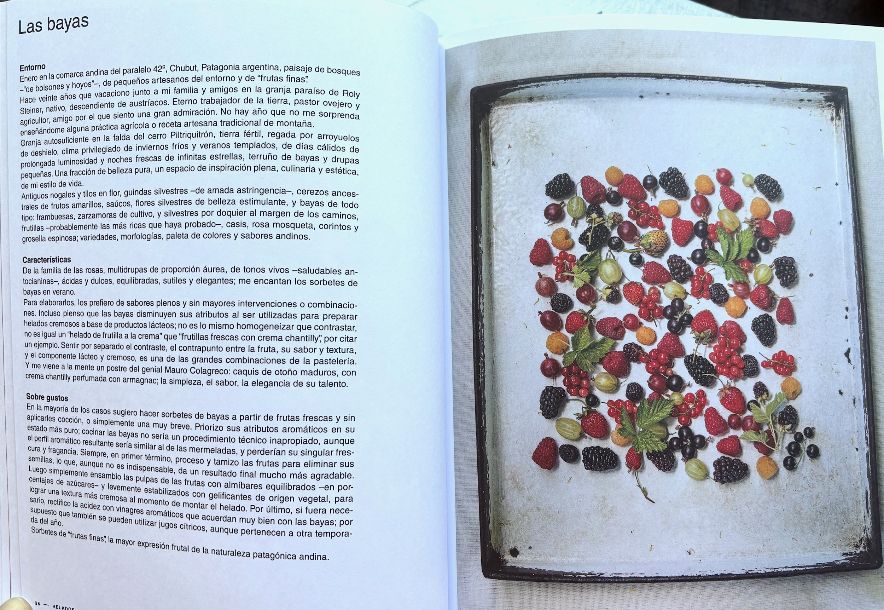 Helados en Argentina (Guido Tassi)