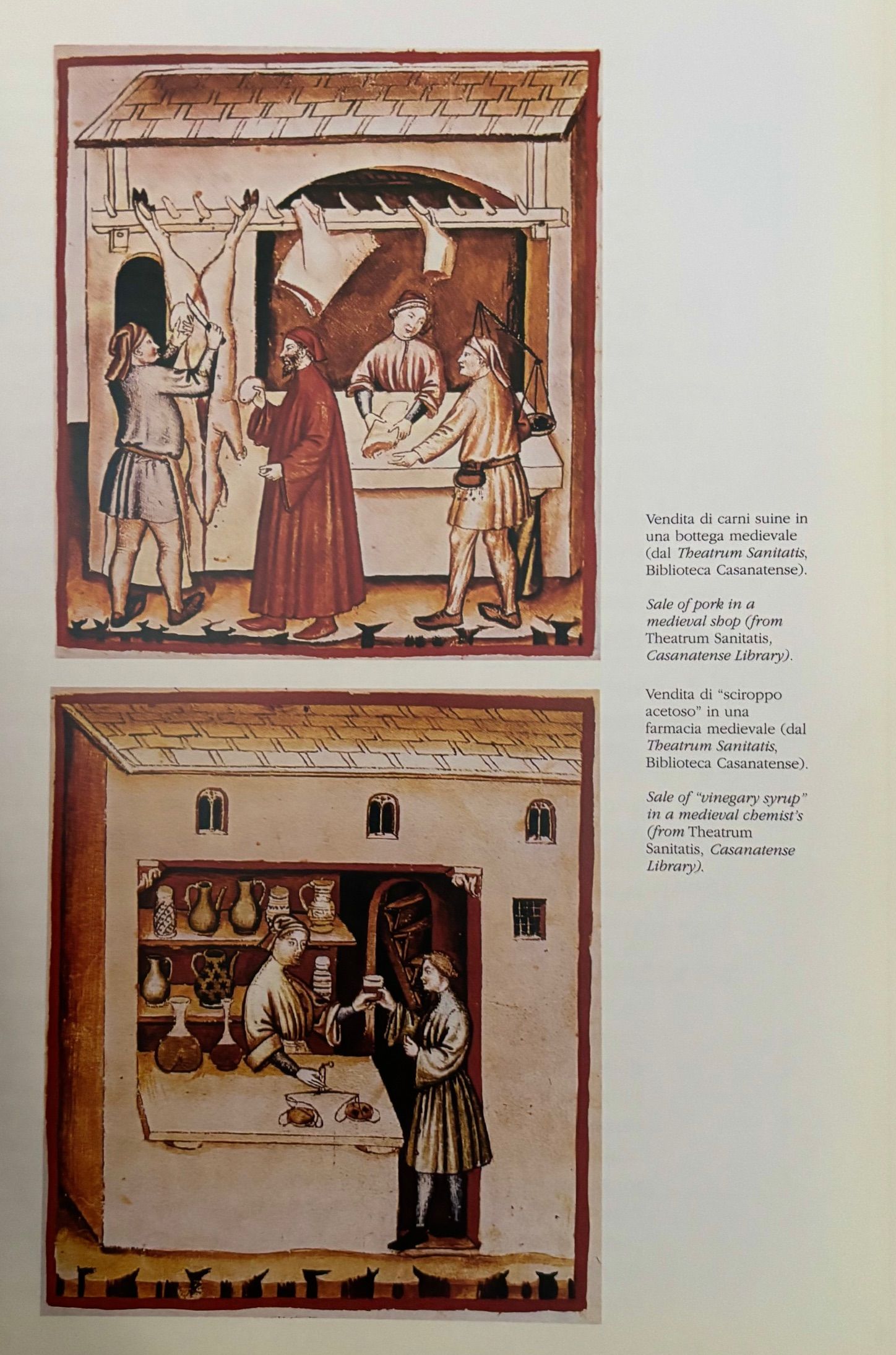 (*NEW ARRIVAL*) (Italian - Emilia Romagna) Giancarlo Roversi. La Magnifica Cucina: Fasti e Vicende della Tavola in Emilia e Romagna