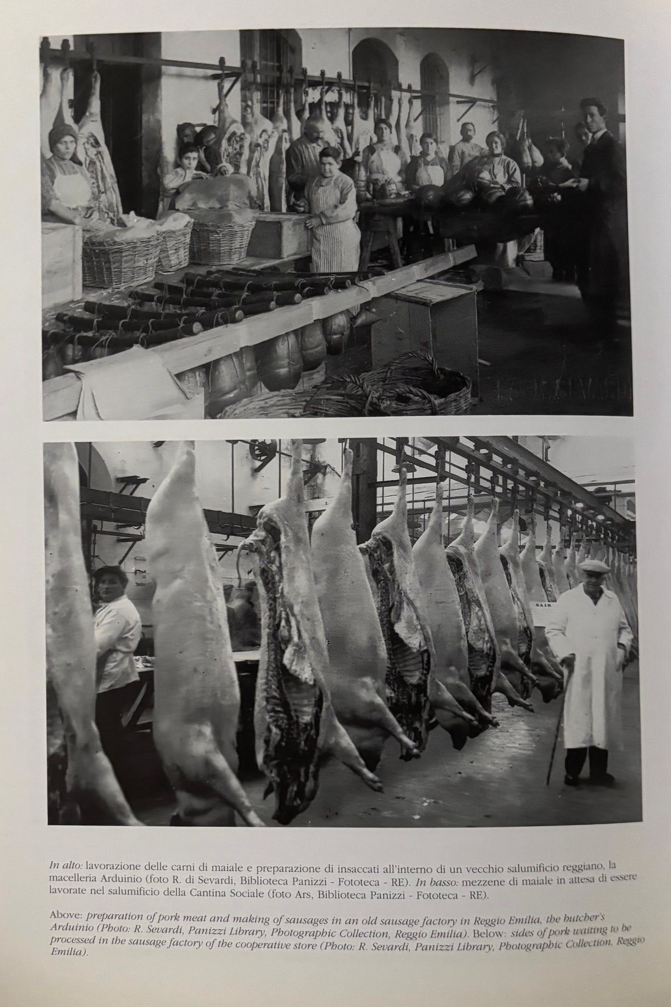 (*NEW ARRIVAL*) (Italian - Emilia Romagna) Giancarlo Roversi. La Magnifica Cucina: Fasti e Vicende della Tavola in Emilia e Romagna